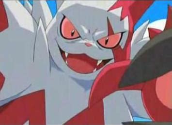 smogon zangoose